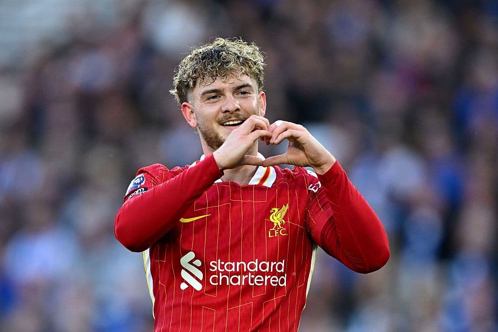 Brighton & Hove Albion FC v Liverpool FC - Premier League