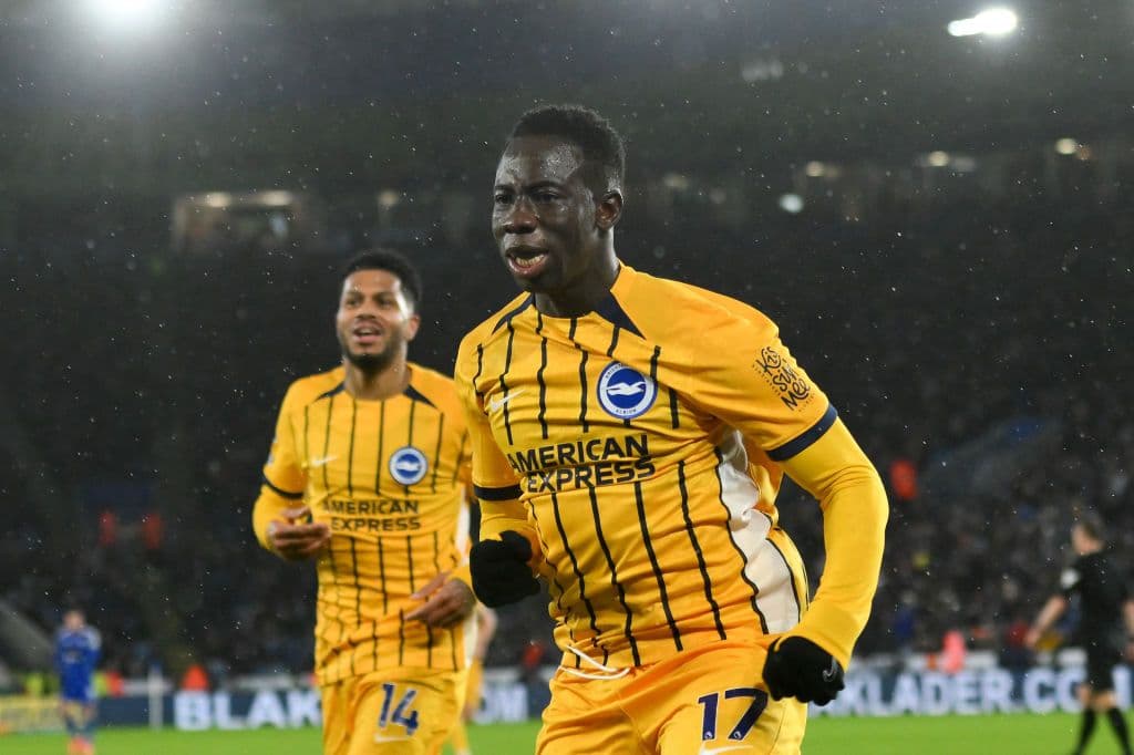 Leicester City FC v Brighton & Hove Albion FC - Premier League