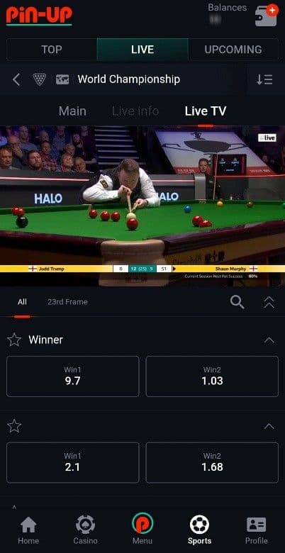 pin-up Live Betting & Streaming.jpg