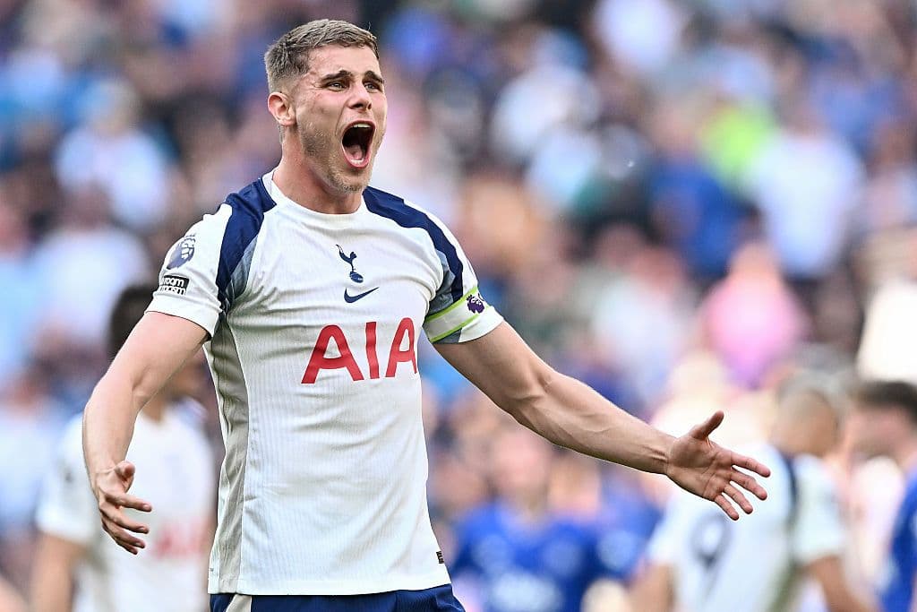 Tottenham Hotspur v Everton - Premier League