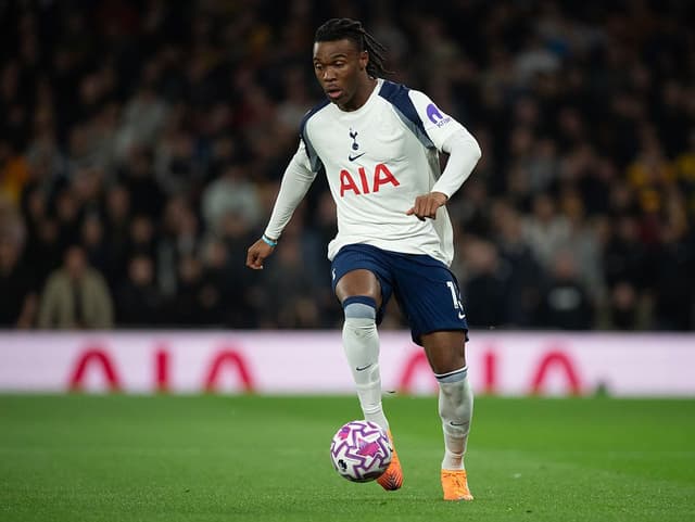 Tottenham Hotspur v Wolverhampton Wanderers - Premier League