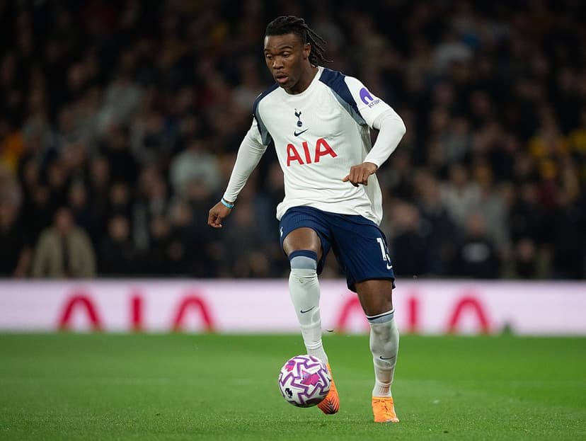 Tottenham Hotspur v Wolverhampton Wanderers - Premier League