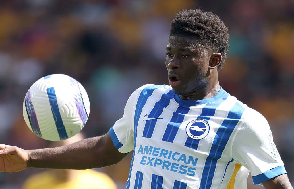 Wolverhampton Wanderers FC v Brighton & Hove Albion FC - Premier League