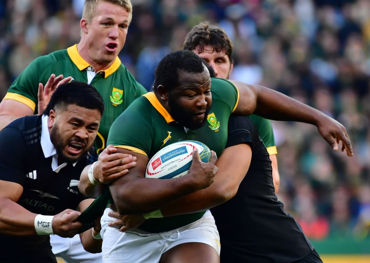 Springbok Ox Back Ox Nche on Springboks Consistency, Depth Building for 2027, and Set ...